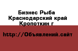 Бизнес Рыба. Краснодарский край,Кропоткин г.